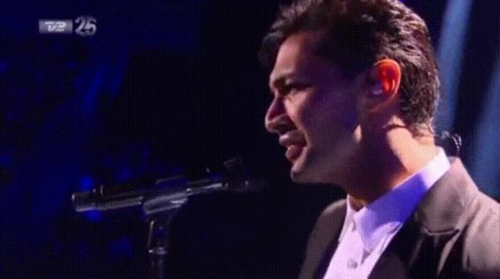 moscas,tragar,cantar