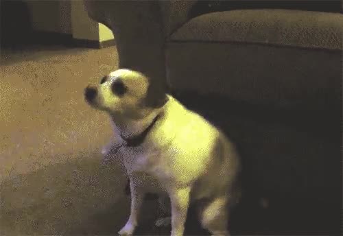 viernes,felicidad,bailar,fiesta