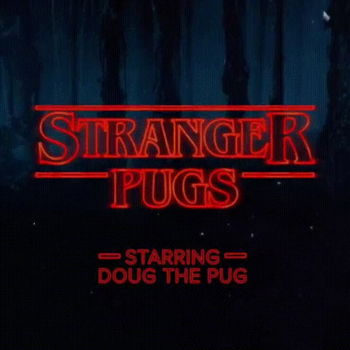 stranger things,stranger pugs,perros