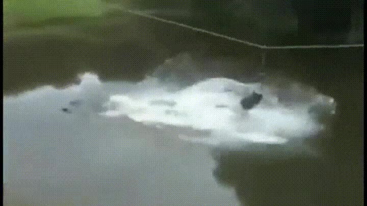 dolor,caída,mojada,caída.