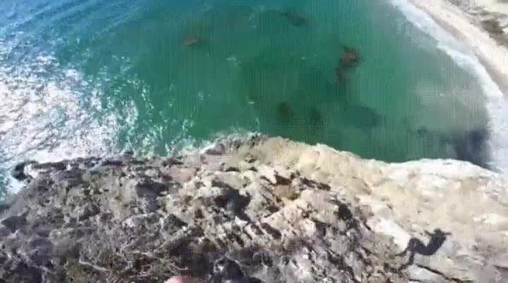 puedes,sentir,p&aacute;nico,ver,caer,abismo