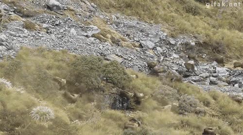 nivel,camuflaje,over 9000