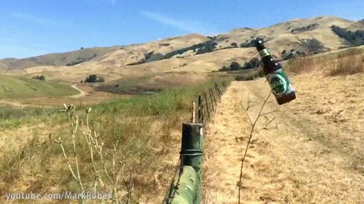 pistola,sutileza,cartucho