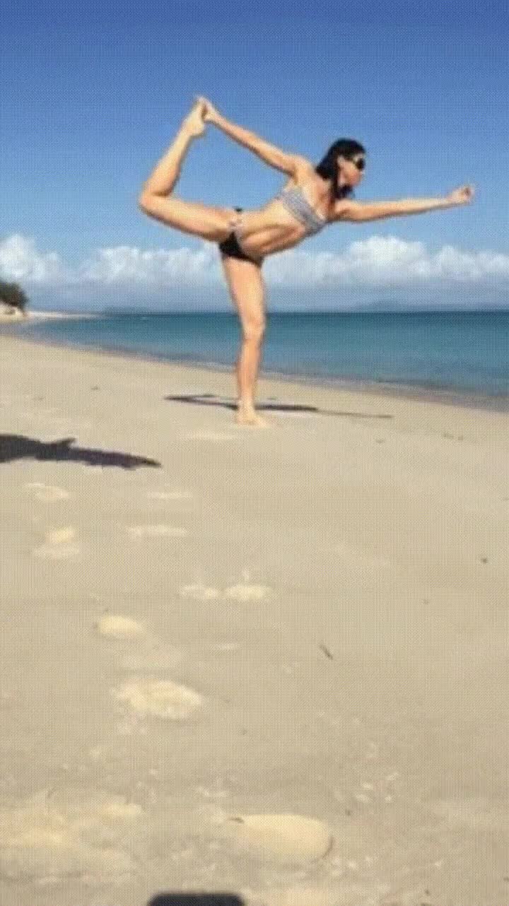 yoga,playa,atraer,animales