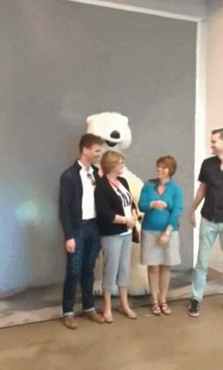 gustar,trabajo,mascota,pasarlo bien