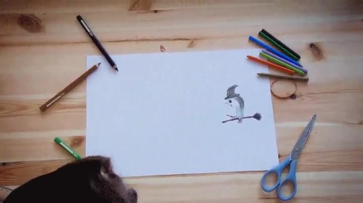 mejor,hechizo,ganar,bruja,combate,gato