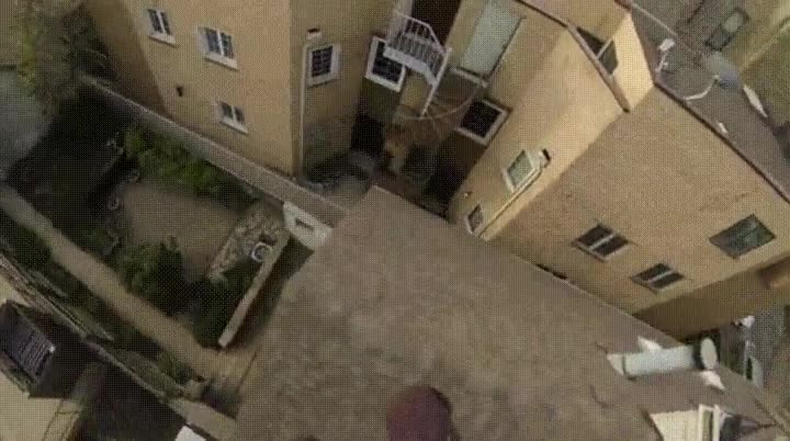 novia,sola,casa,parkour