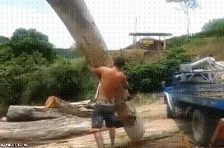 fuerte,mundo,competidor,troncos,monta&ntilde;a,juego de tronos