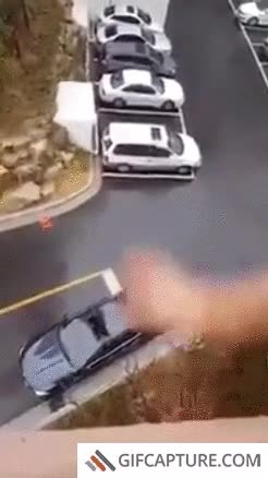 dejarse,comida,casa,buscarla,coche,lanzar