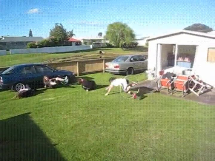 colegas,aburrir,jardin,saltos