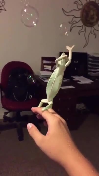 tomar,cafe,responder,correo,curro,burbujas