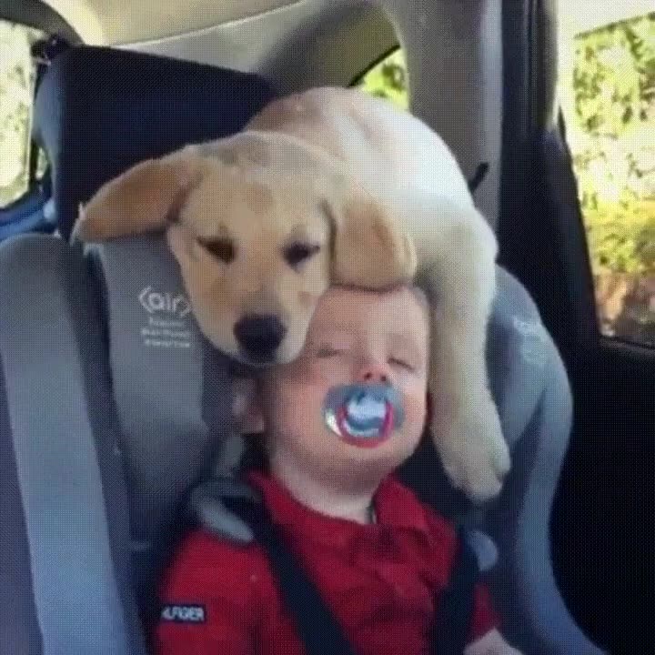 mejor,lugar,mundo,apoyar,cabeza,siesta