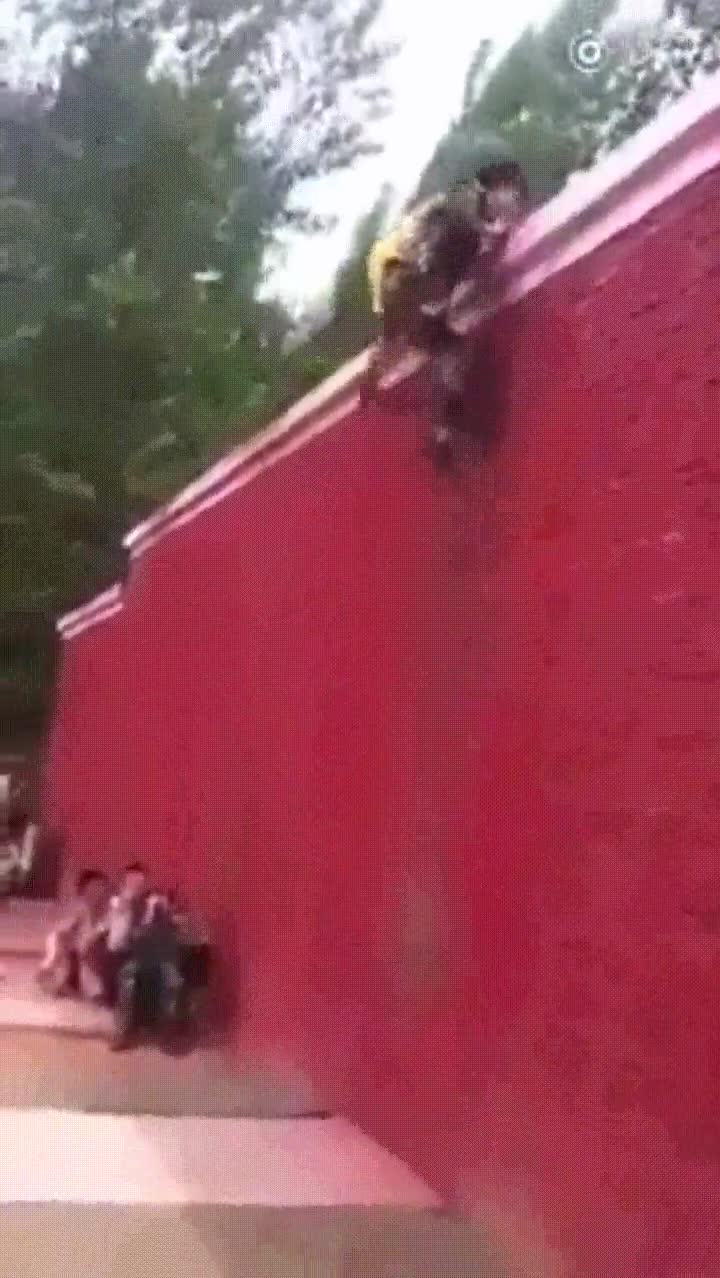 trabajo,equipo,nada,saltos,muro,ayudar