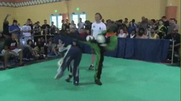 patada,capaz,derribar,hombre