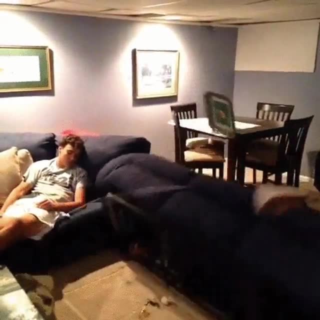 intentar,gastar,broma,sofa,compa&ntilde;ero de piso,pena