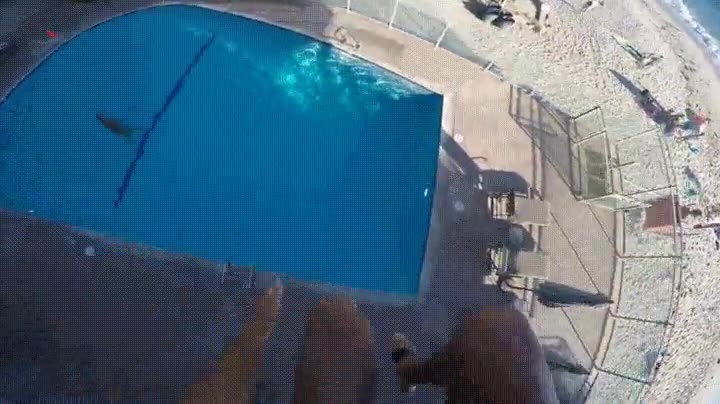 atrever,dar,salto,peligroso