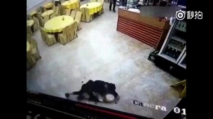 por lo menos,no romper,ca&iacute;da,resbal&oacute;n,camarero,platos