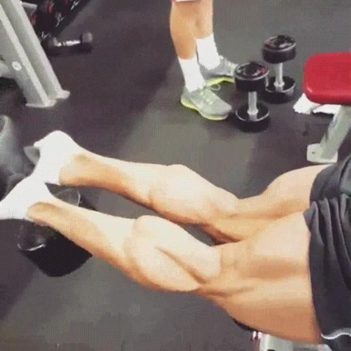 pasar,nunca,saltar,día,entrenar,piernas