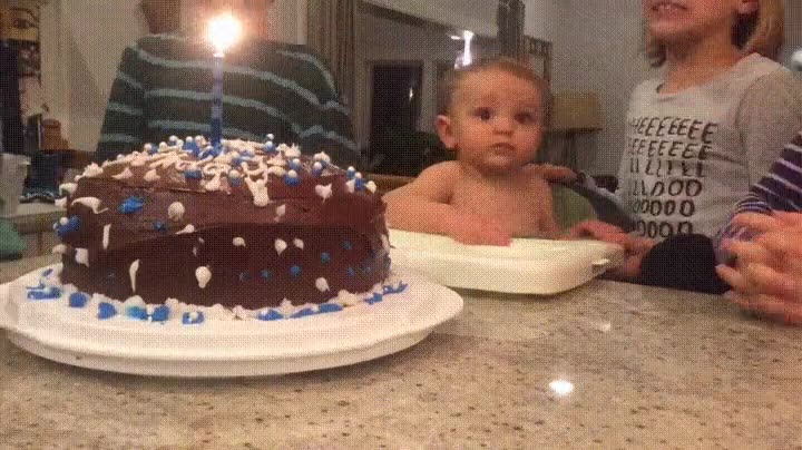 resumen,primer,cumplea&ntilde;os,humano