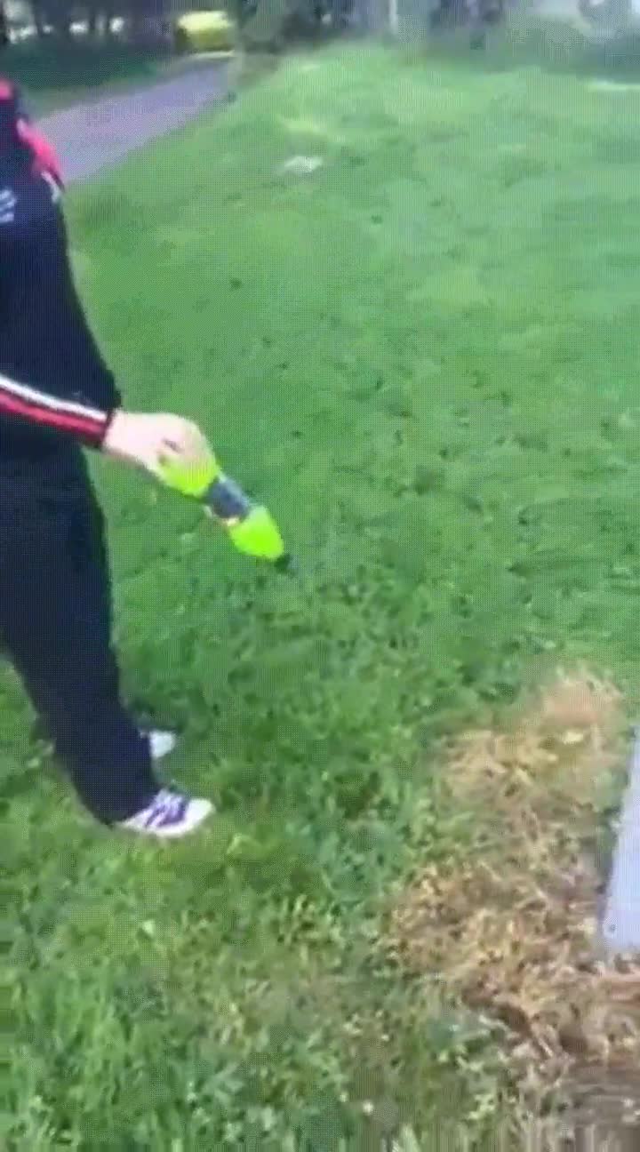 volver,salir,en la vida,botella,lanzar