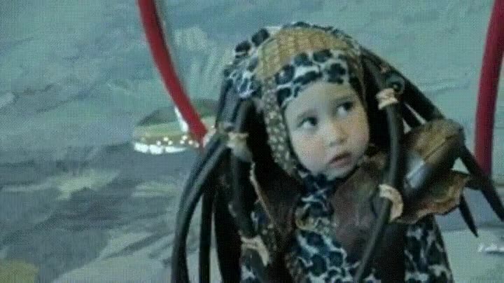 predator,adorable. ver,jamas