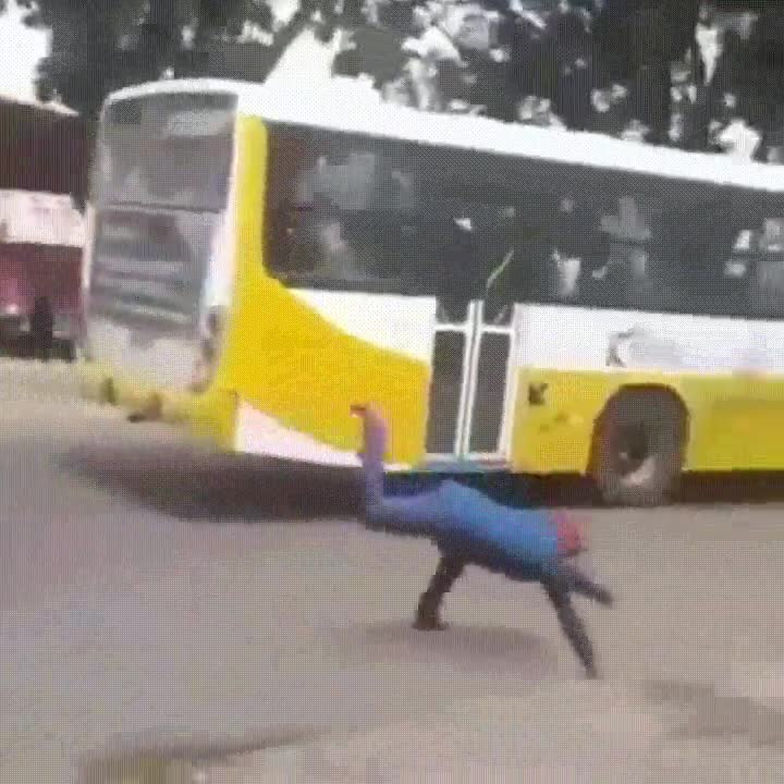notar,spiderman,horas,bajas,autobus