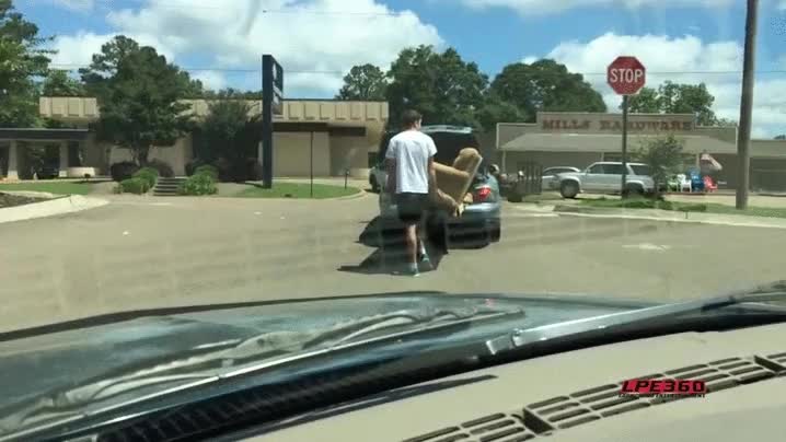 amistad,demostrar,coche,sofa,mudanza