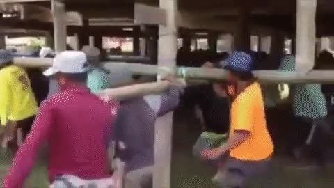 ayuda,mudanza,casa,amigos