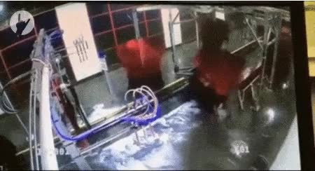 demonio,tasmania,real,vueltas,ataque