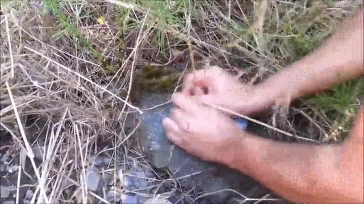 truco,salvar,vida,algun d&iacute;a,abrir,lata