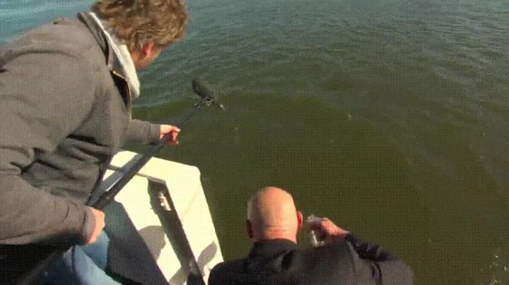 reportera,meter,demasiado,papel,fail,caida,nadar