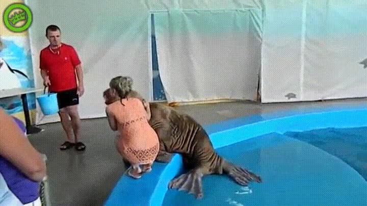 tener,estupida,foto,largate,humana