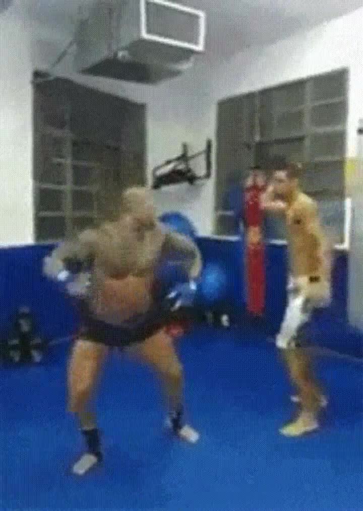 mejor,hacer,intentar,atacar,cuchillo