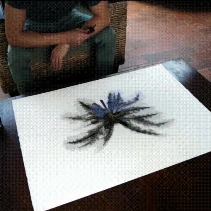 incre&iacute;ble,efecto,dibujos,tinta,mariposa,magia