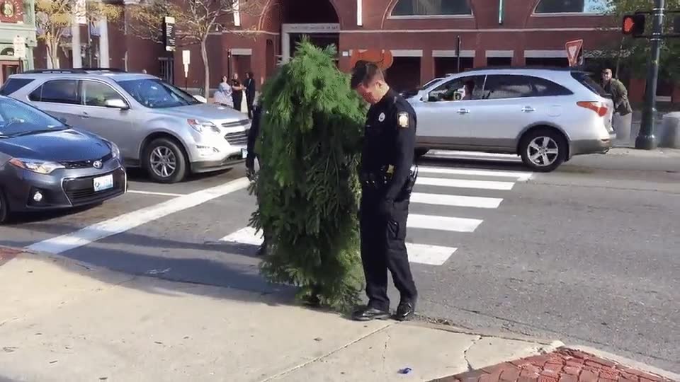 Enlace a Agentes de la ley acompañando a un arbusto borracho hasta casa