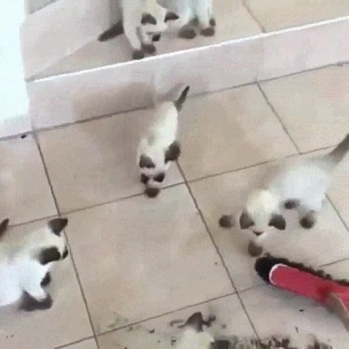 nosotros,echar,mano,preocupar