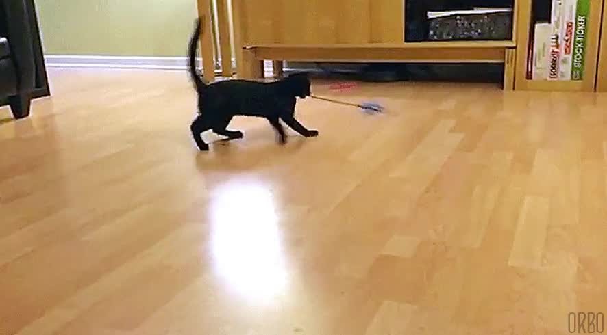 maldita,sea,paso,delante,mi