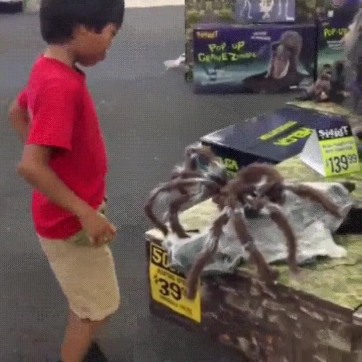 hoy,mismo,ni&ntilde;o,tener,aracnofobia