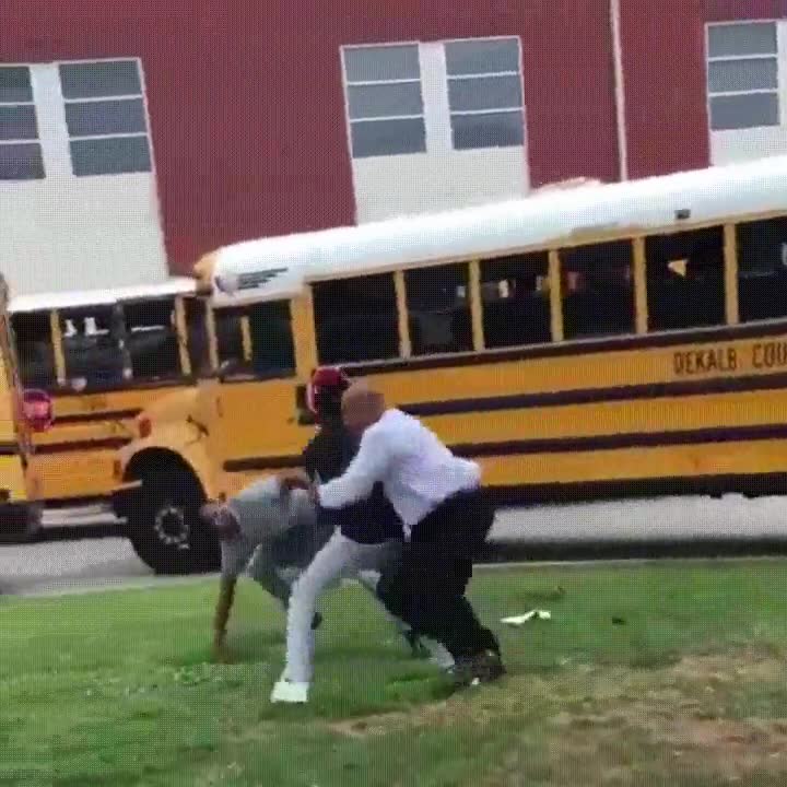 profesor,evitar,pelea,dos humanos,héroe