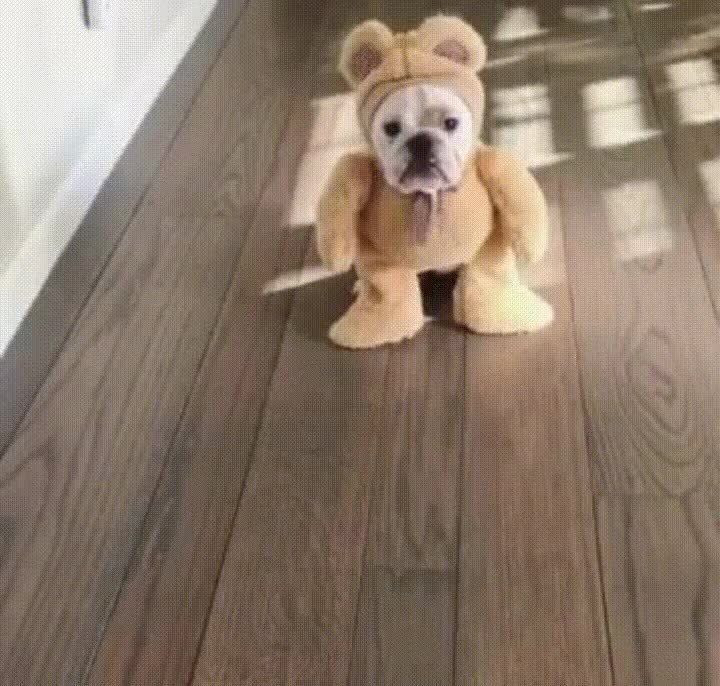 perro,peluche,saltos,adorable