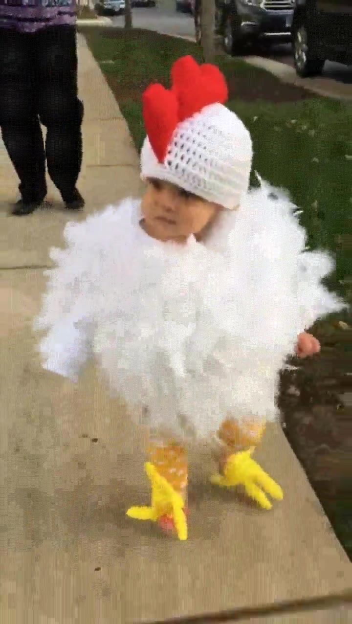 disfraz,adorable,peque&ntilde;o,gallian