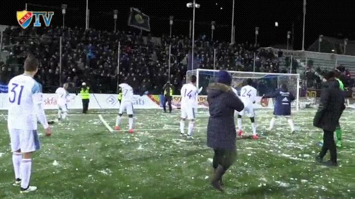 equipo,futbol,celebrar,aficionados,victoria,partido,temporada