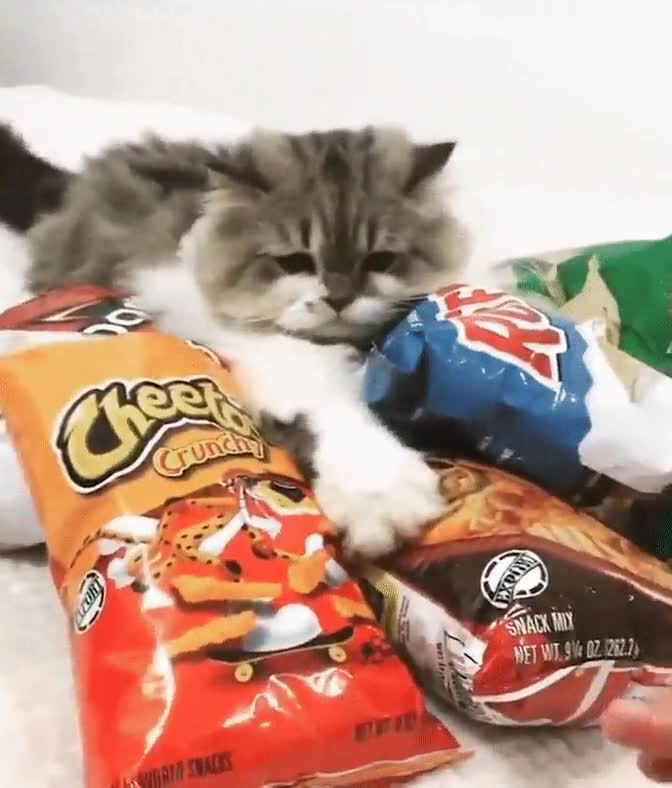 mejor,metodo,perder,peso