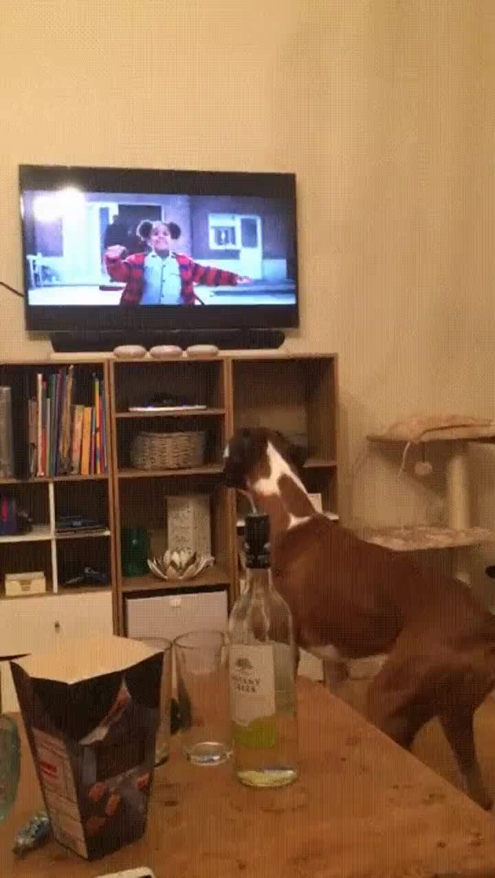 alguien,dar,trampol&iacute;n,sufrimiento