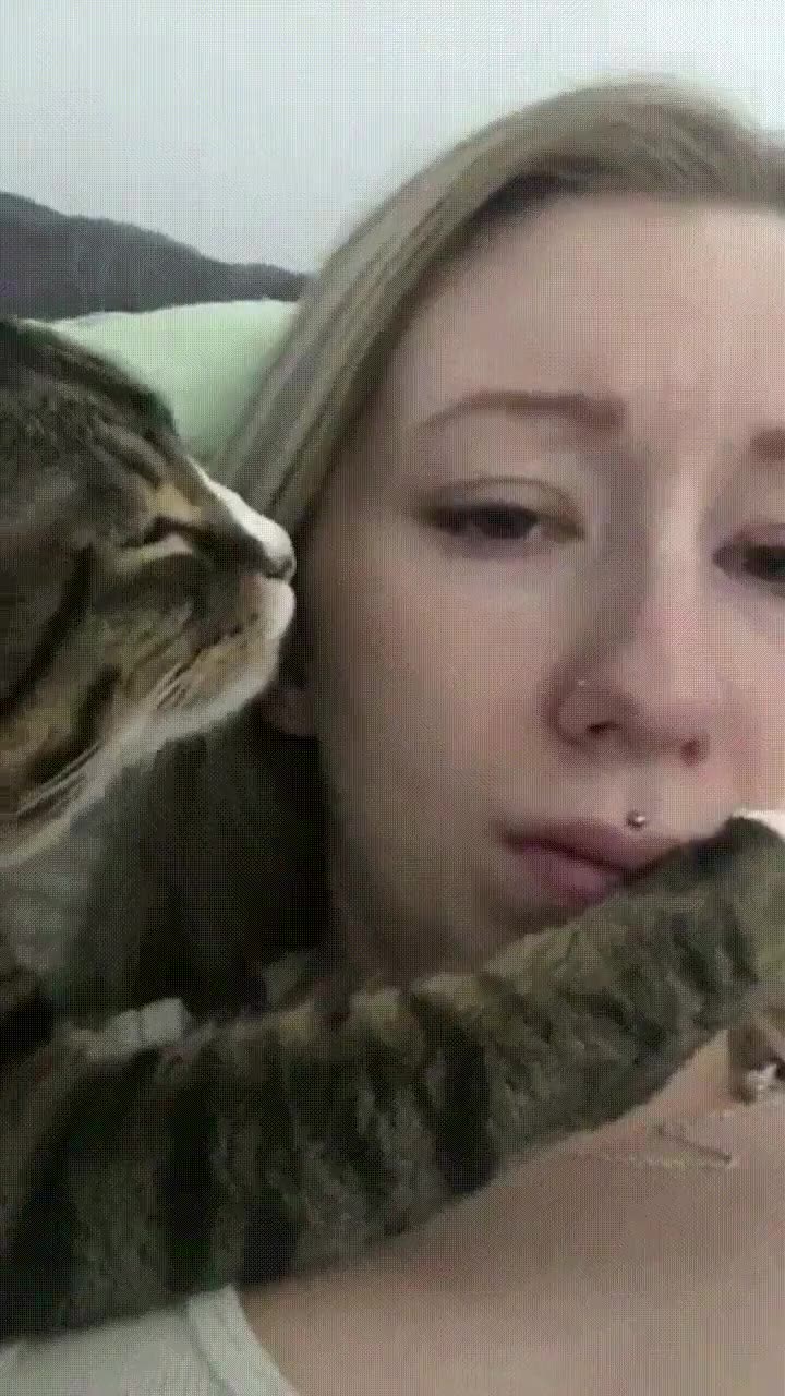 quedar,amiga,gato,mantita,peli