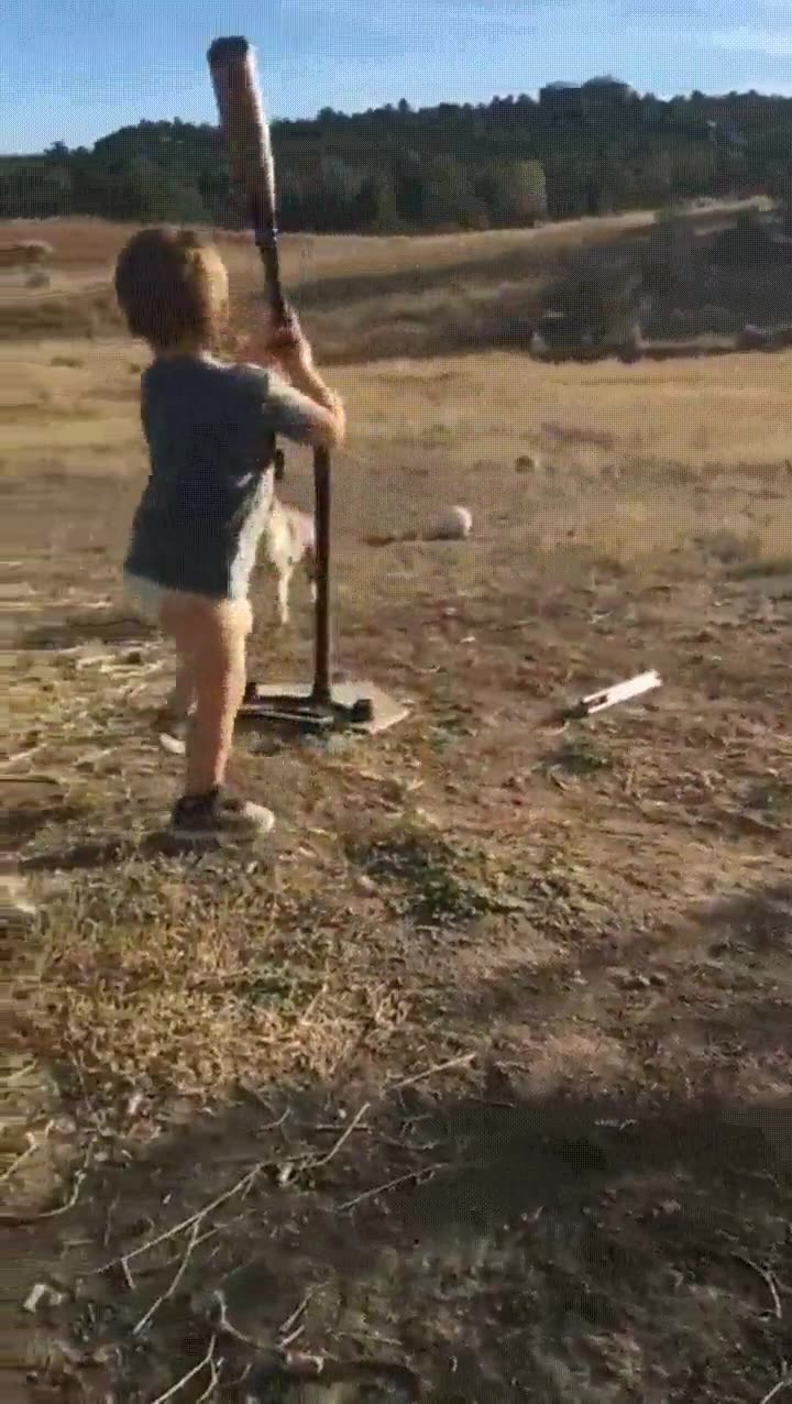 puede,ni&ntilde;o,bateador,mundo,intentar