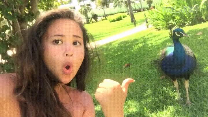 dejar,hacer,largate,selfie