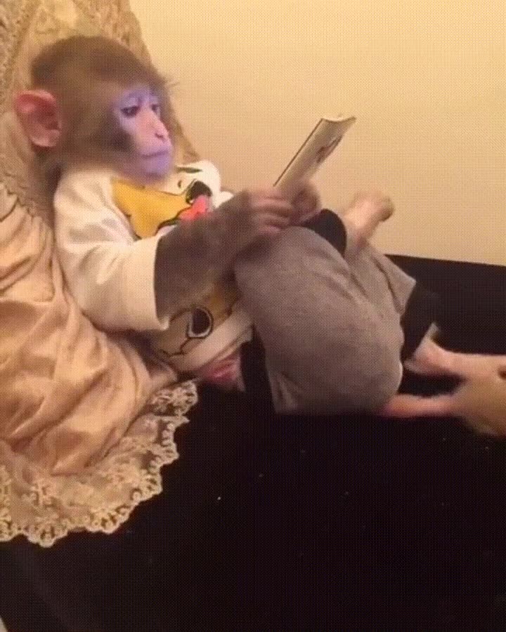 ense&ntilde;ar,padre,utilizar,tablet