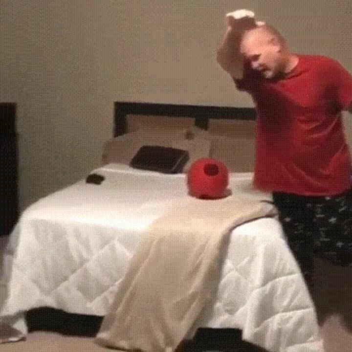mejor,reto,maniqui,fecha,perro