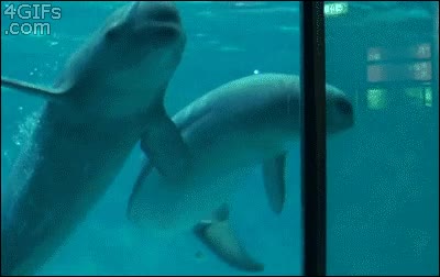 fondo,ni&ntilde;os,burbuja,agua